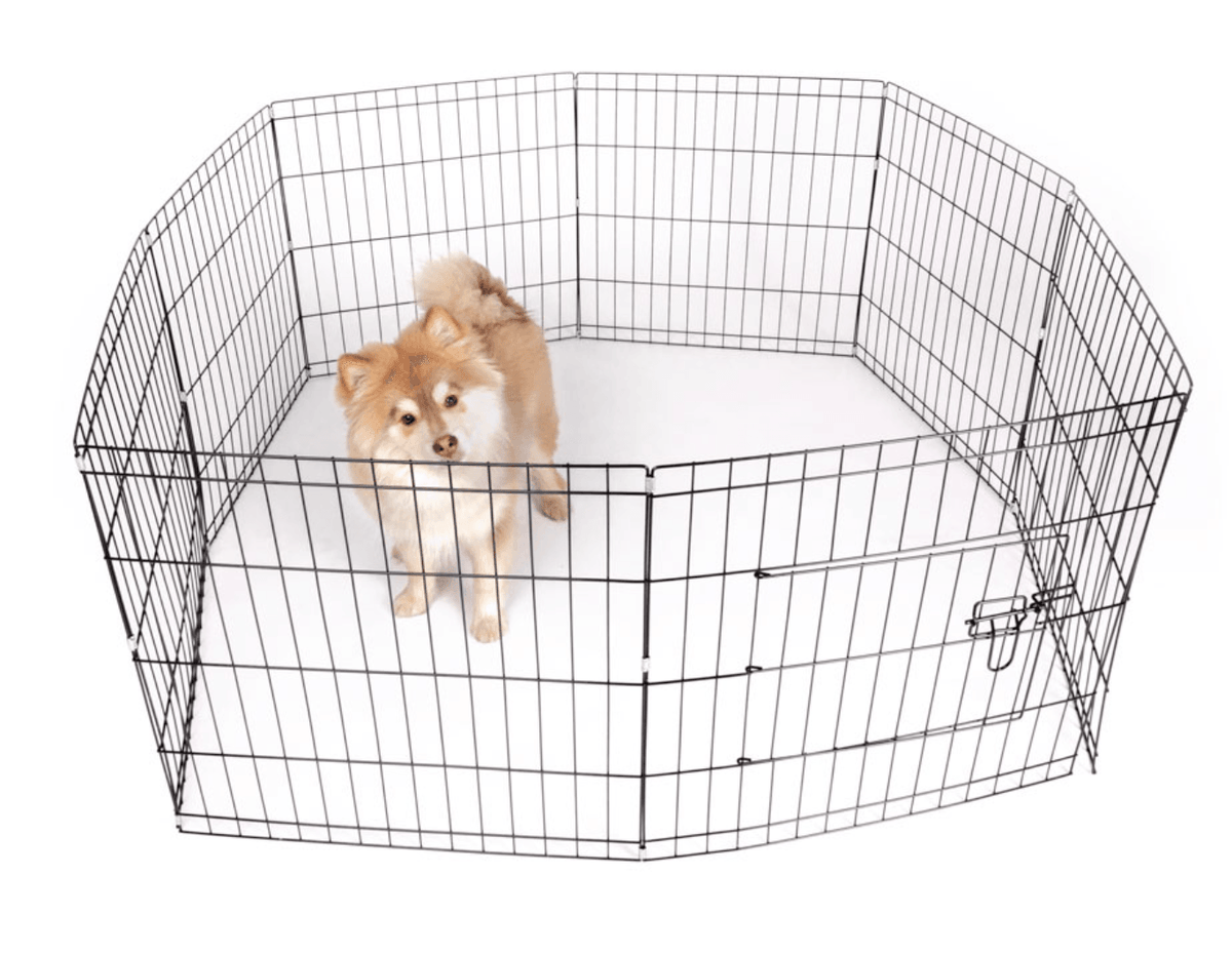 Active Canis Hundgård 122x122x61cm